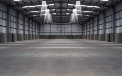 Ambius Celebrates 10 Years of Illuminating New Zealand